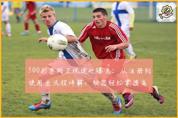 500彩票网正规途径曝光：从注册到使用全流程详解，助您轻松掌握高效体验