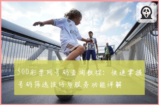 500彩票网号码查询教程：快速掌握号码筛选技巧与服务功能详解