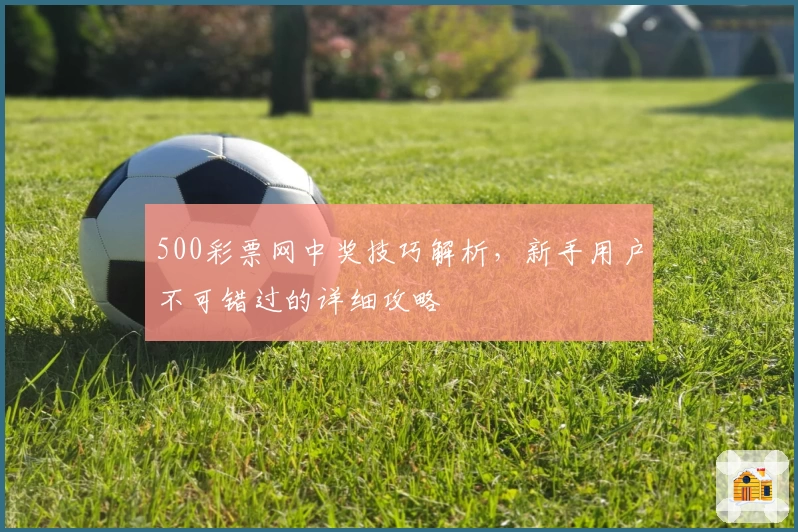 500彩票网中奖技巧解析，新手用户不可错过的详细攻略