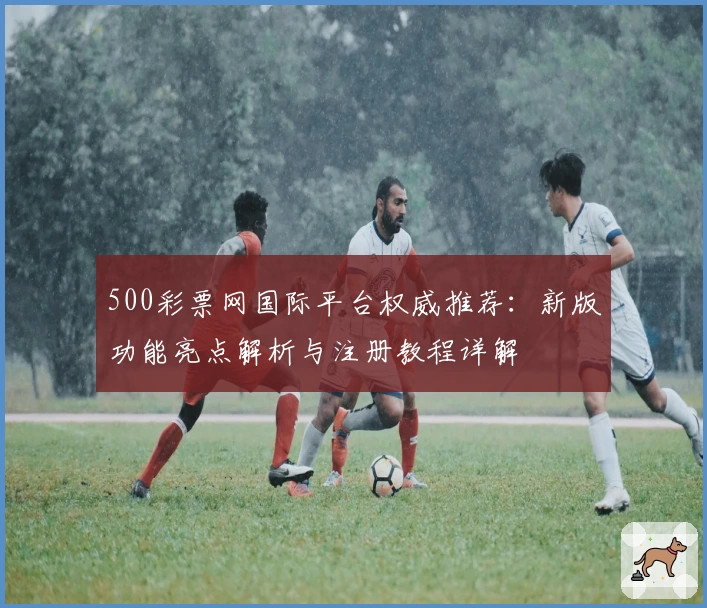 500彩票网国际平台权威推荐：新版功能亮点解析与注册教程详解